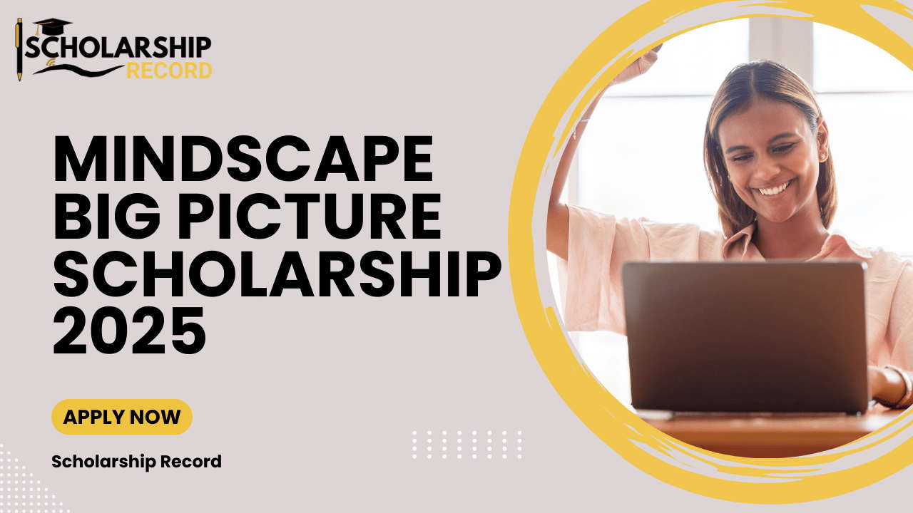 Mindscape Big Picture Scholarship